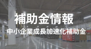 2025年 (令和7年)　中小企業成長加速化補助...